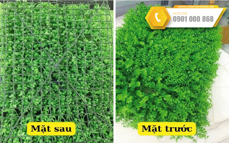 bao-gia-co-tai-chuot-03