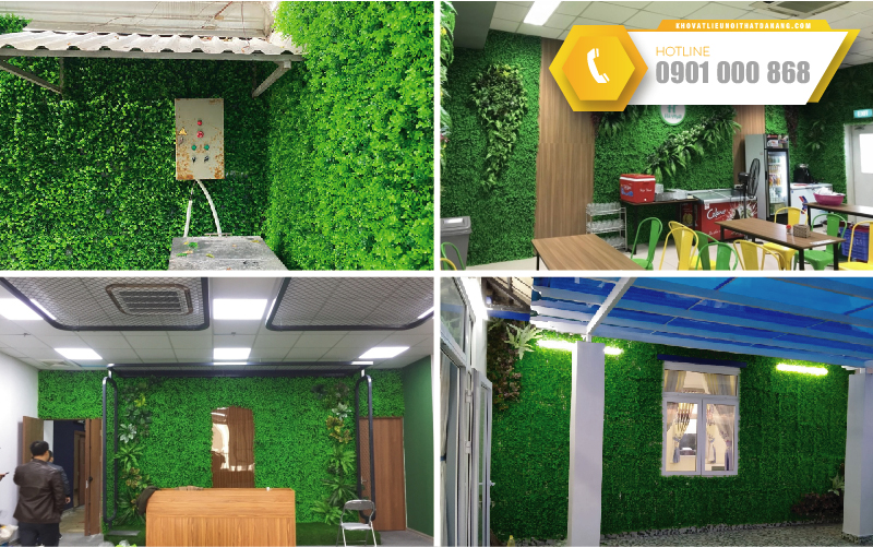 bao-gia-co-tai-chuot-05