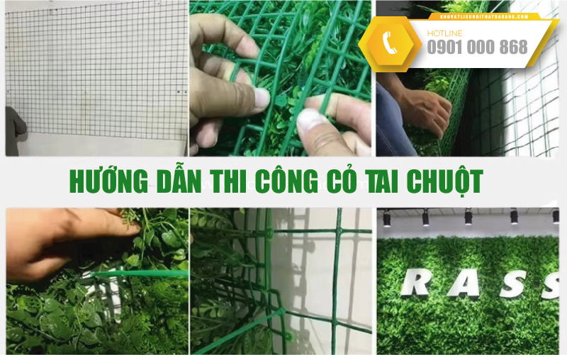 bao-gia-co-tai-chuot-06