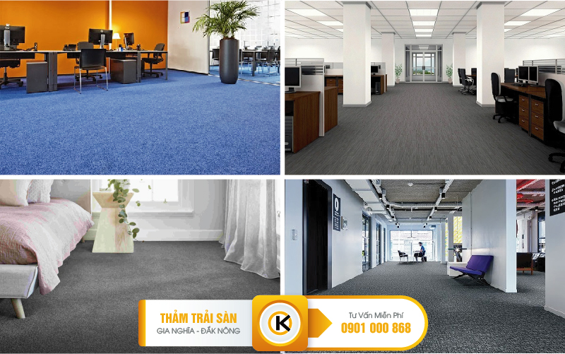 bao-gia-tham-trai-san-06