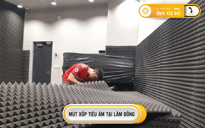 dai-li-mut-xop-tieu-am-04