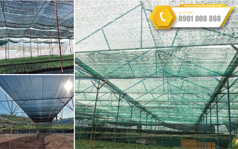 luoi-che-nang-gia-re-11