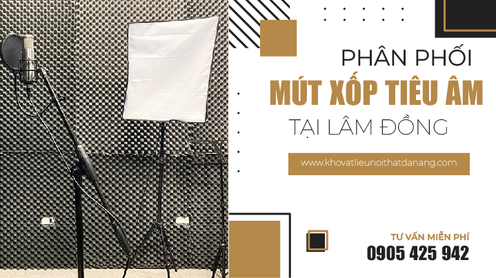 mut-xop-tieu-am-lam-dong-gia-re-01