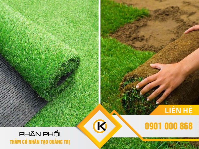 phan-phoi-co-nhan-tao-quang-tri-02