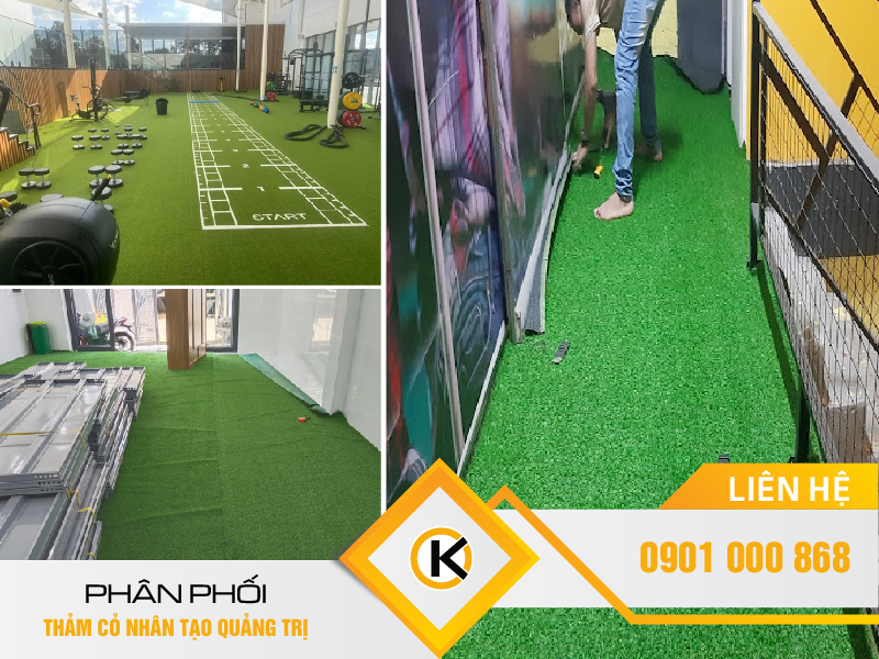 phan-phoi-co-nhan-tao-quang-tri-05