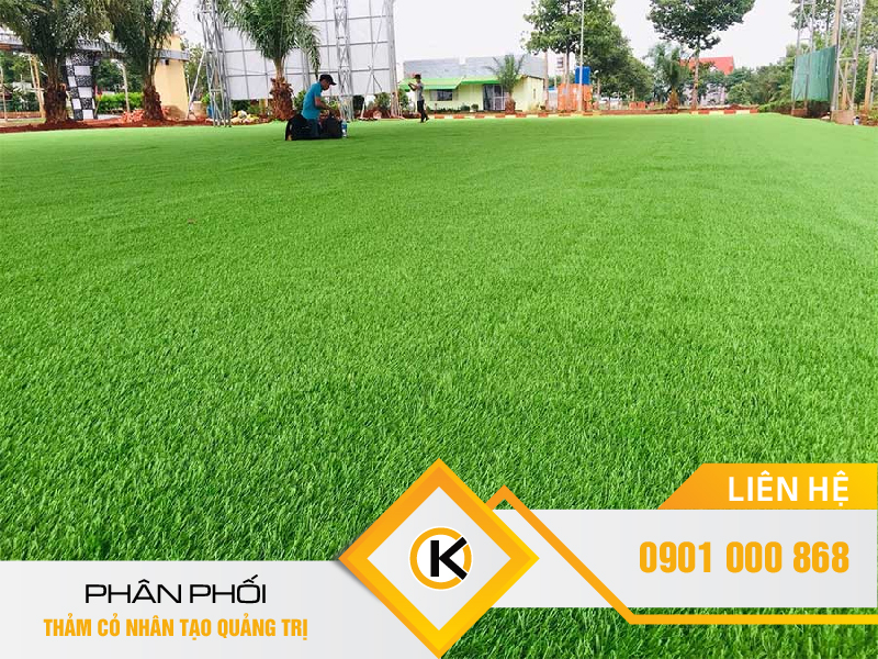 phan-phoi-co-nhan-tao-quang-tri-06