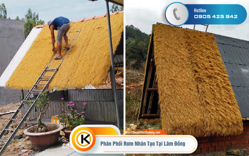 rom-nhan-tao-cao-cap-04