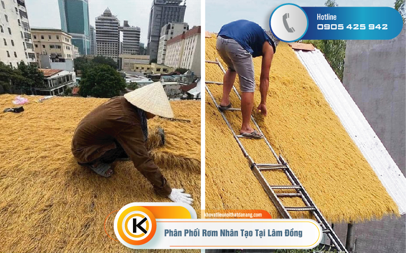 rom-nhan-tao-cao-cap-06