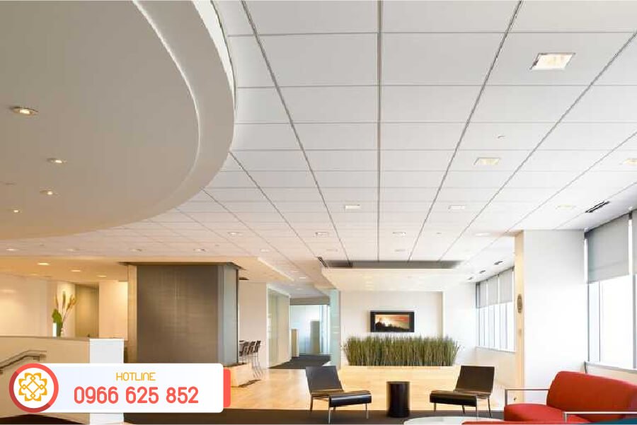 tam-nhua-picomat-da-nang-44