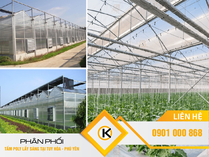 tam-poly-lay-sang-gia-re-06